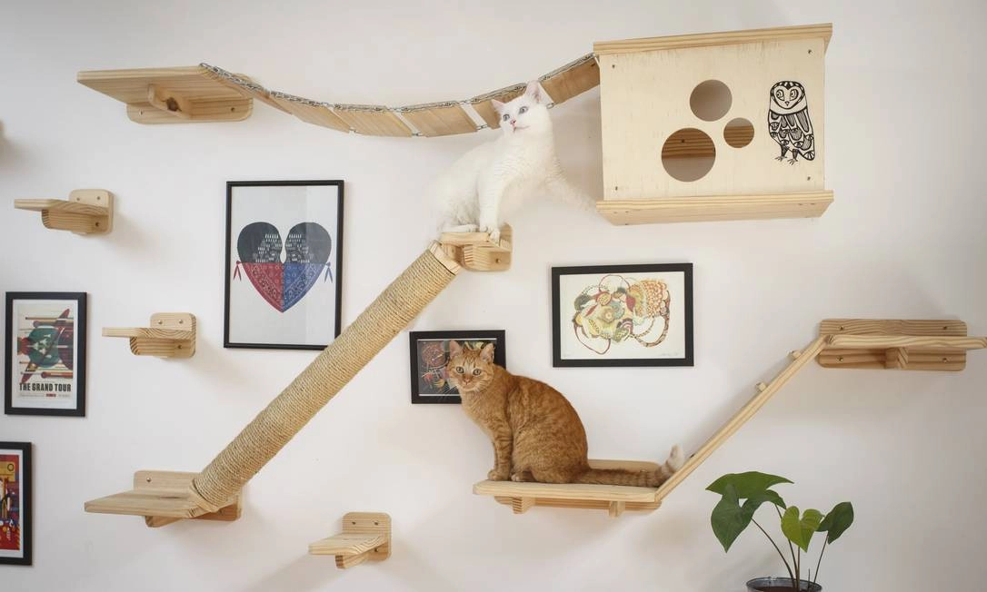 Enriquecimento ambiental para gatos