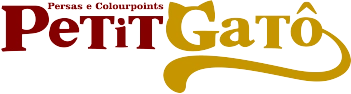 PetitGatô